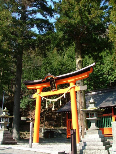 20070406_384